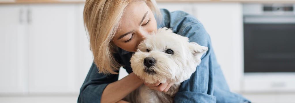 Wst Highland Terrier being kissed by owner