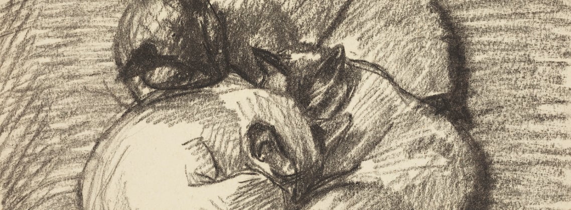 An old sketch of cats cuddling together.