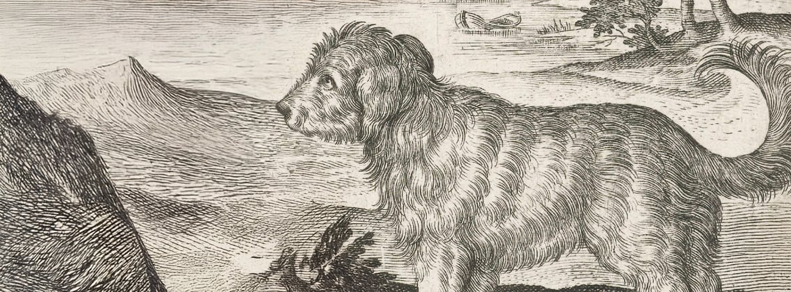 A historic drawing of an early goldendoodle.
