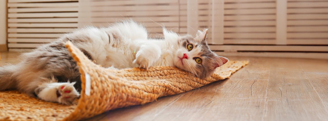 A siberian cat rolling around on a whicker mat.
