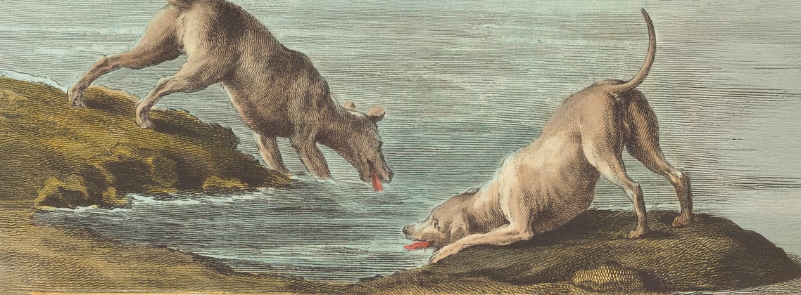 A historic painting of a weimaraner.