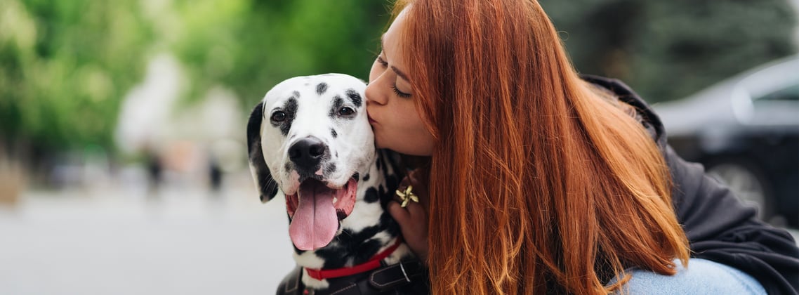 Owner kissing Dalmatian on the street