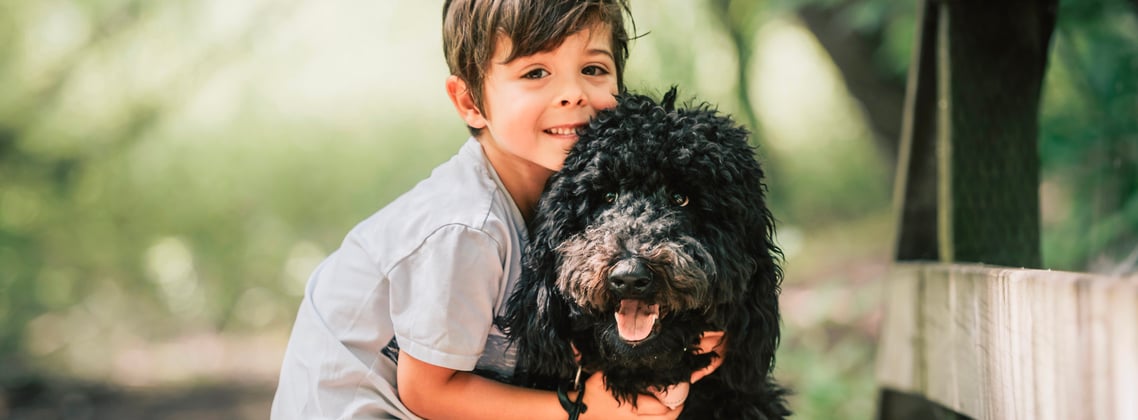 A young boy hugging a black goldendoodle.