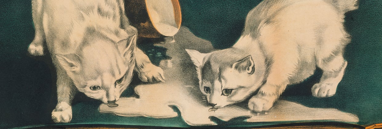 A painting of two kittens sipping milk from the floor.