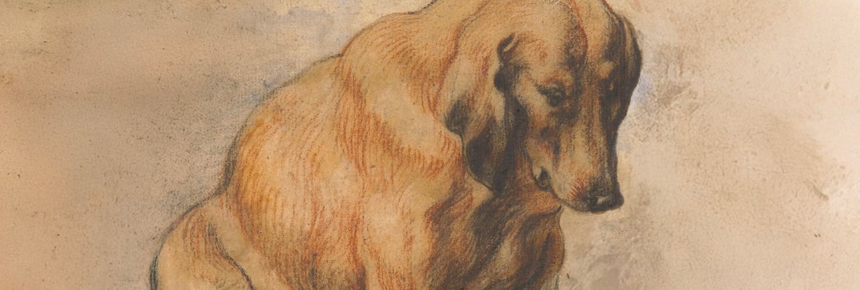 A historic painting of a hungarian vizsla.