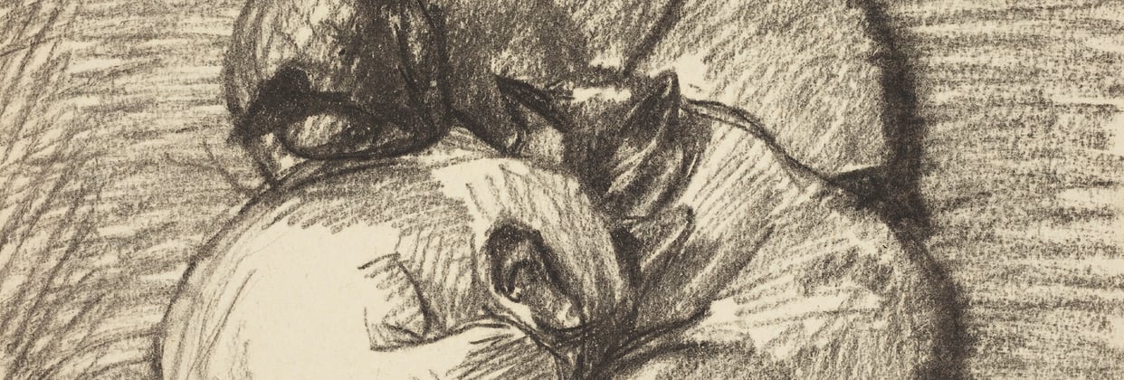 An old sketch of cats cuddling together.