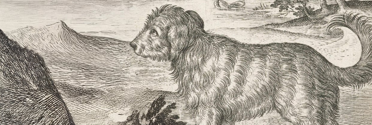 A historic drawing of an early goldendoodle.