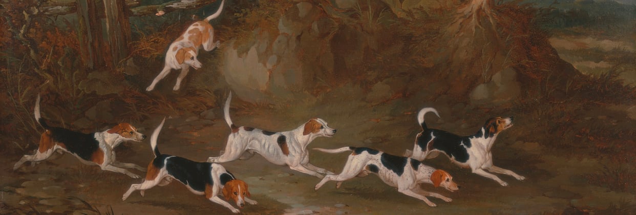 six beagles hunting in a painting