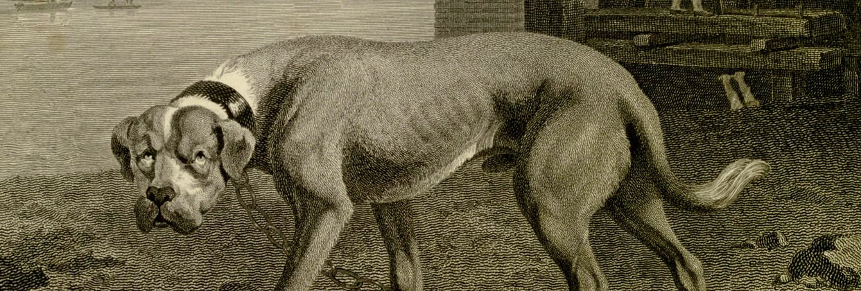 A historic painting of a boxer dog.