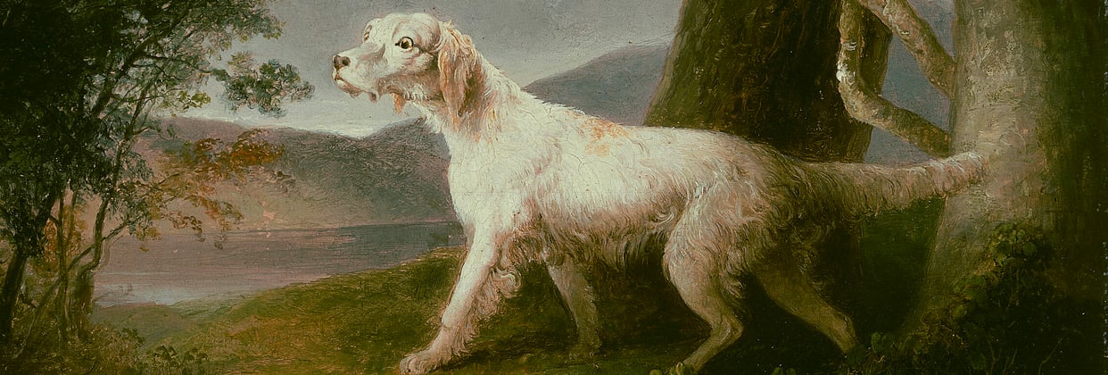 A historic painting of a golden retriever.