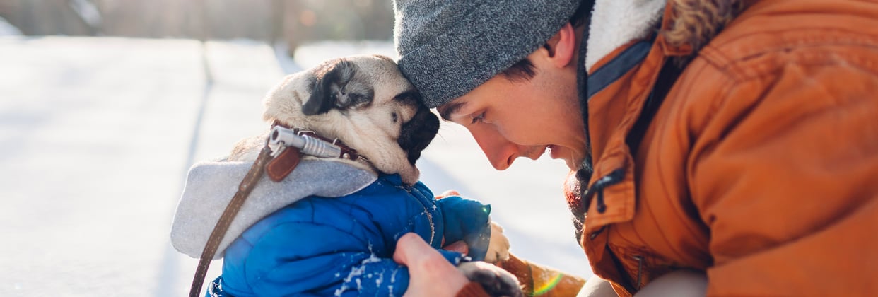 Pug wearing coat with head pressed to owner's forehead who is wearing a beanie and orange coat
