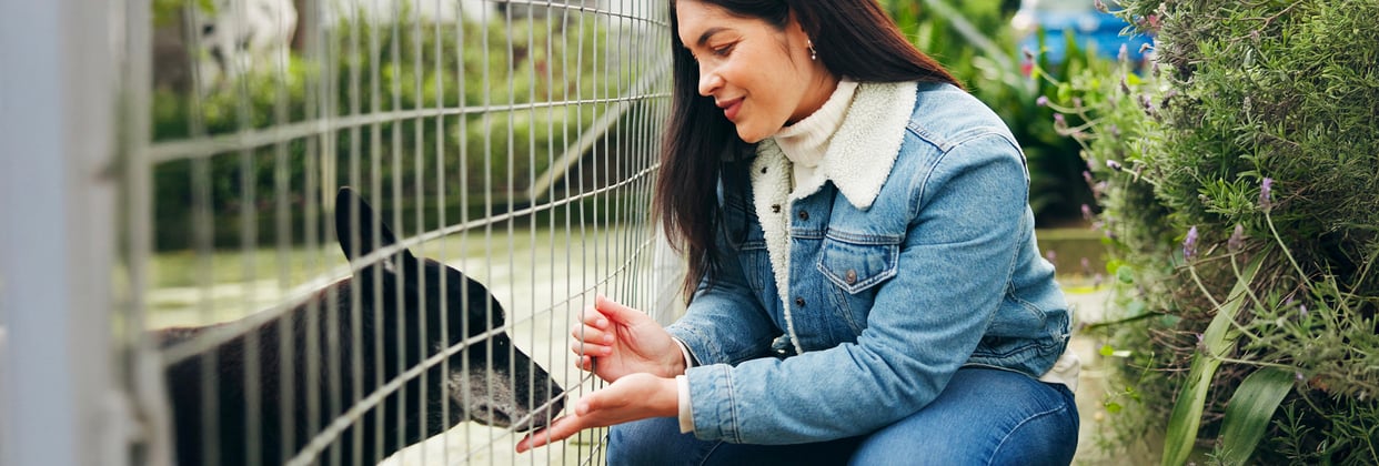 A woman letting a dog sniff her hand through a fence.