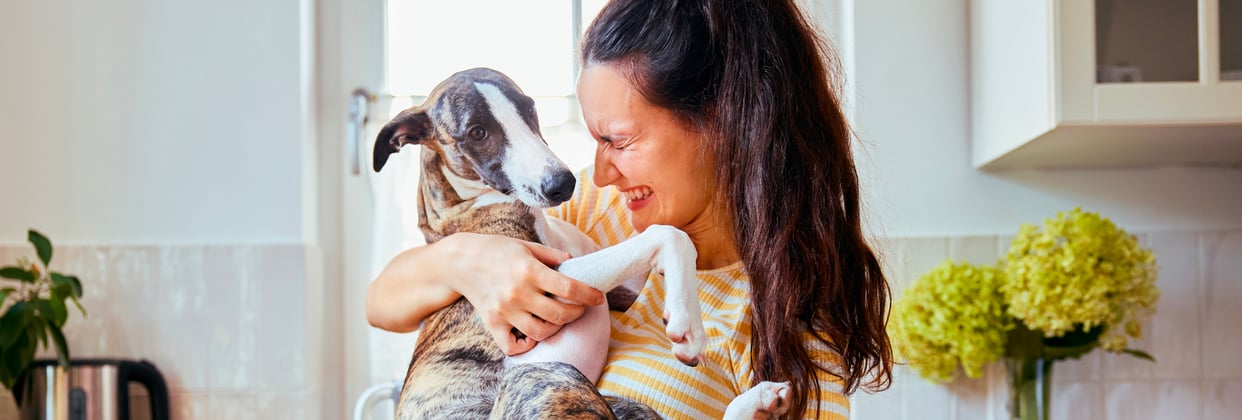 A woman holding her Whippet like a baby and smiling.