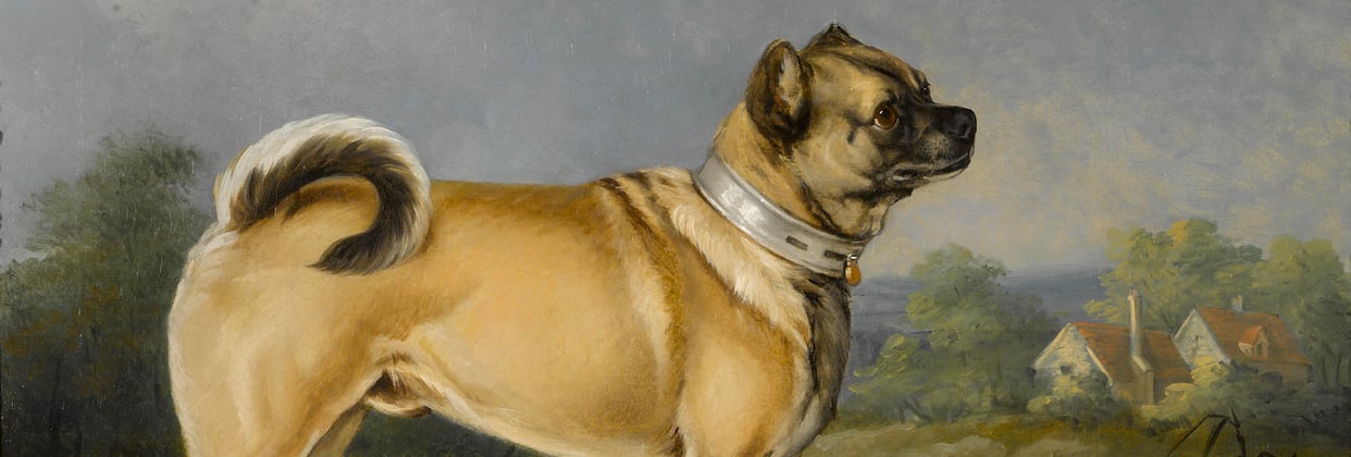 A historic painting of a pug breed.