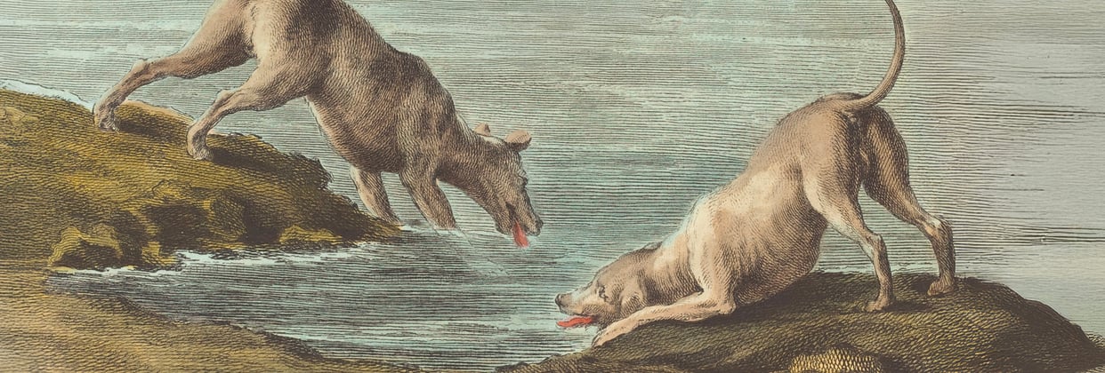 A historic painting of a weimaraner.