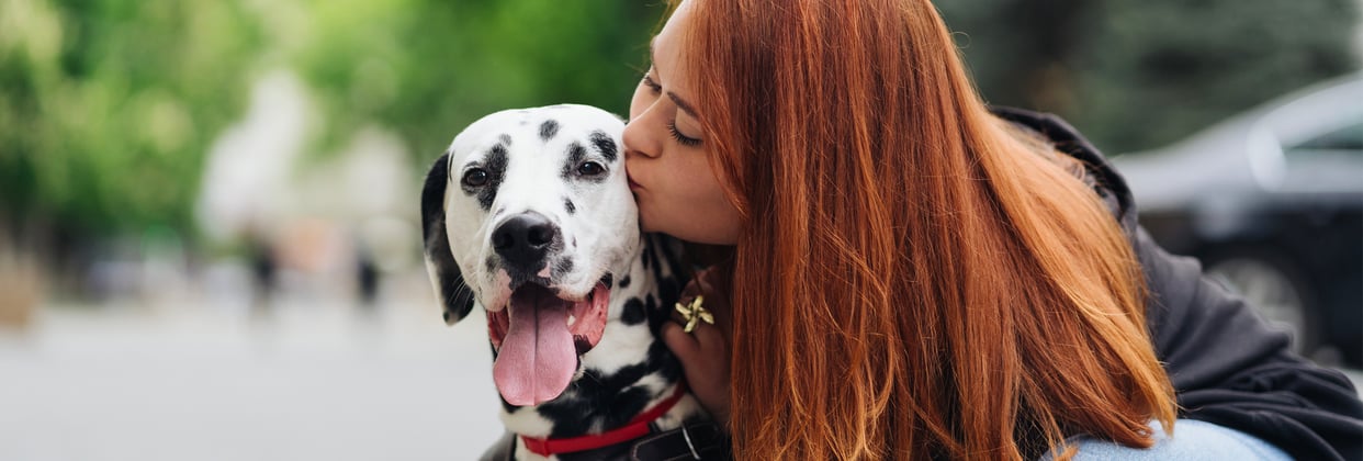 Owner kissing Dalmatian on the street