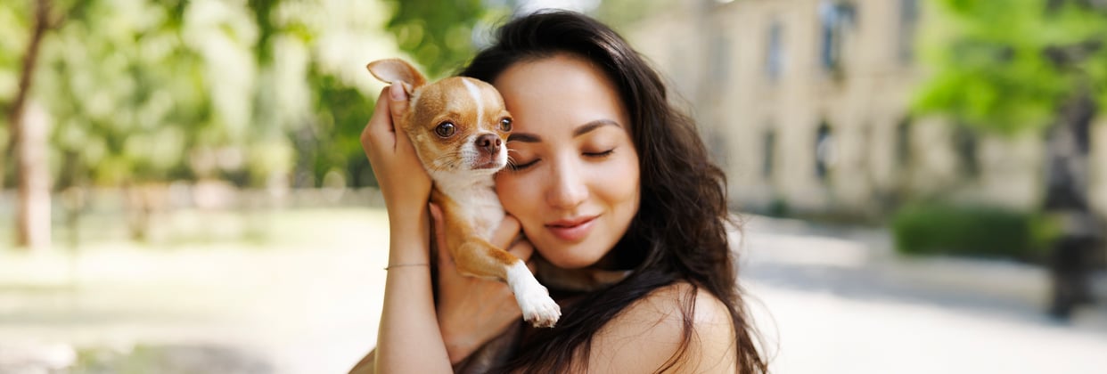 A woman hugging her Chihuahua.