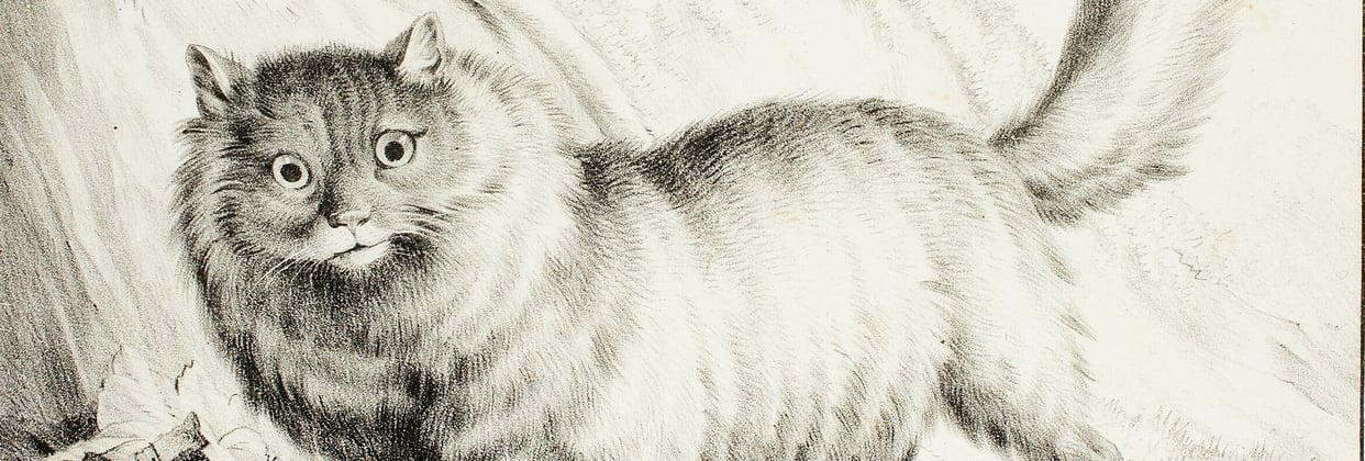 An old artwork depicting a drawing of a cat.