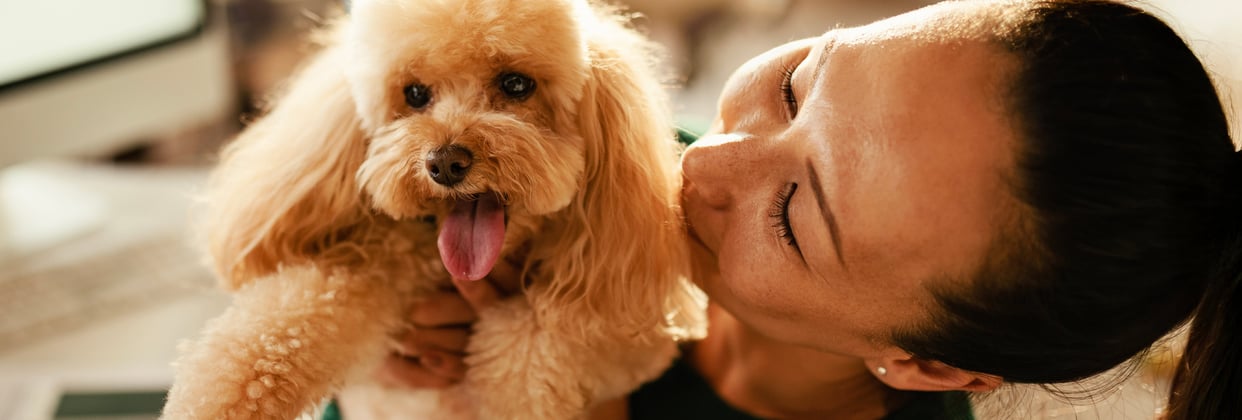 A woman embracing her light-coloured Poodle.