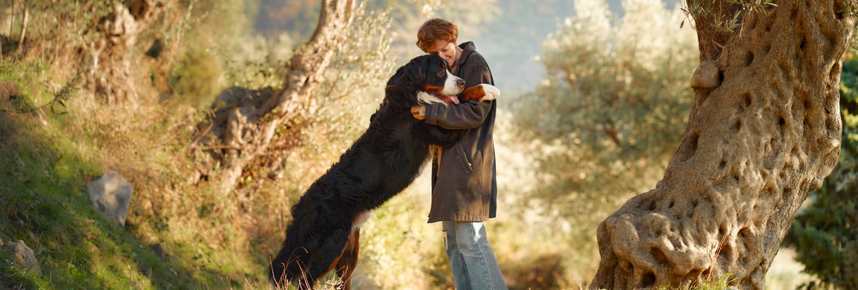A person stood hugging their Bernese Mountain Dog.