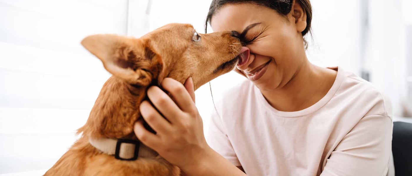 A dog licking a woman's face