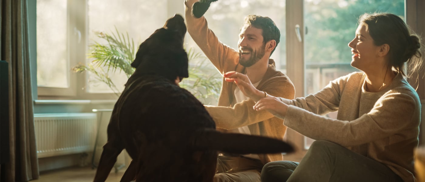 A man and woman playing with their black Labrador in their living room.