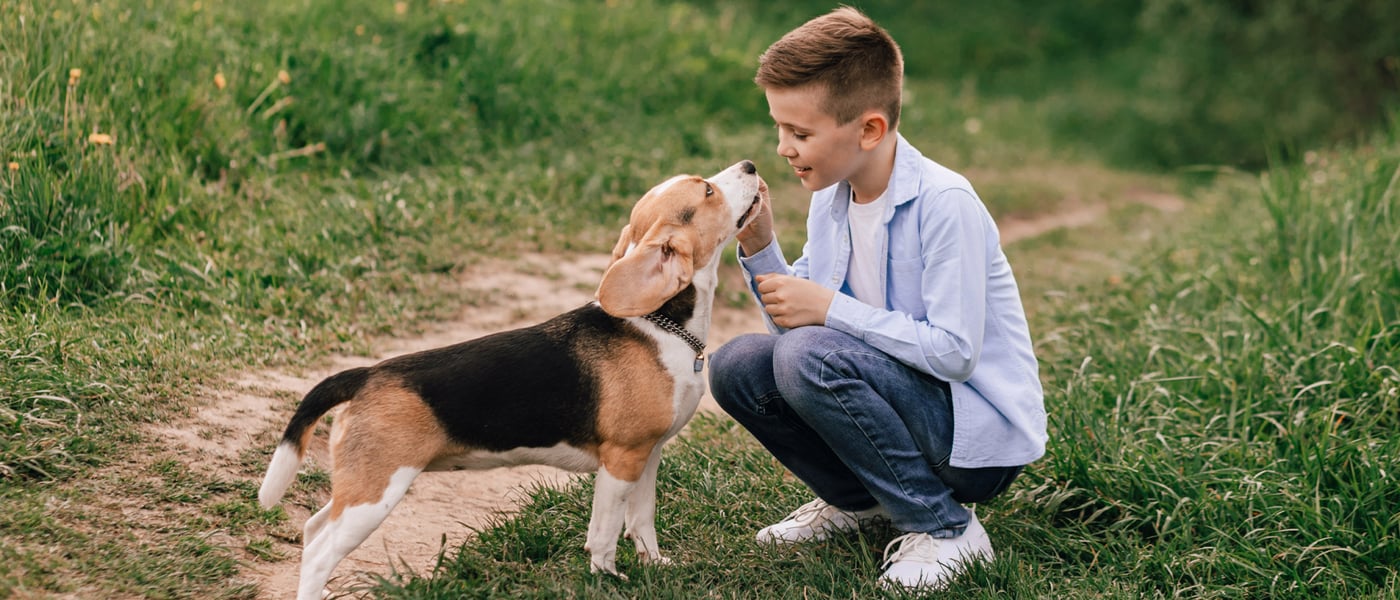 Young child with Beagle outside