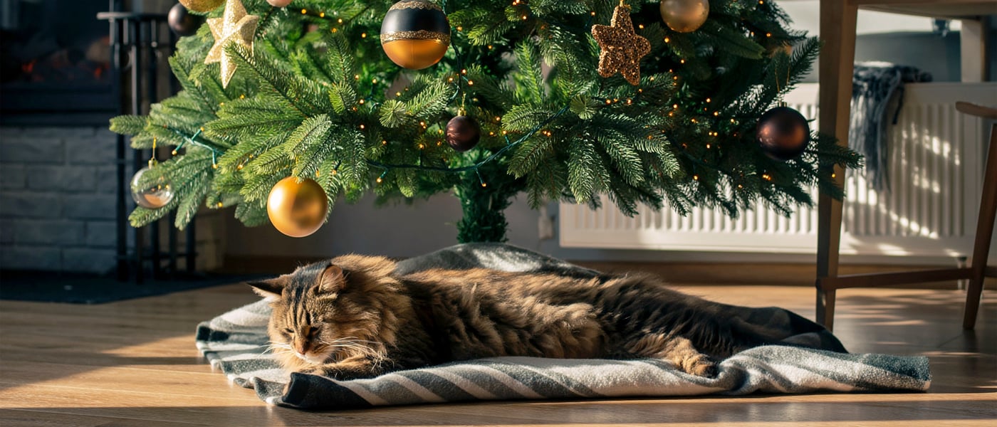 A cat laying on a blanket under a Christmas tree.