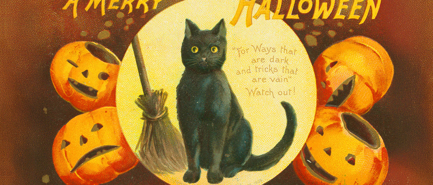 drawing of black cat next to a borrom and surrounded by pumpkins