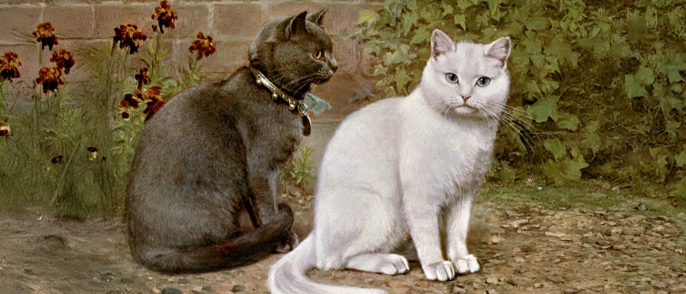 A historical painting of two british shorthair cats sitting near a brick wall and some flowers