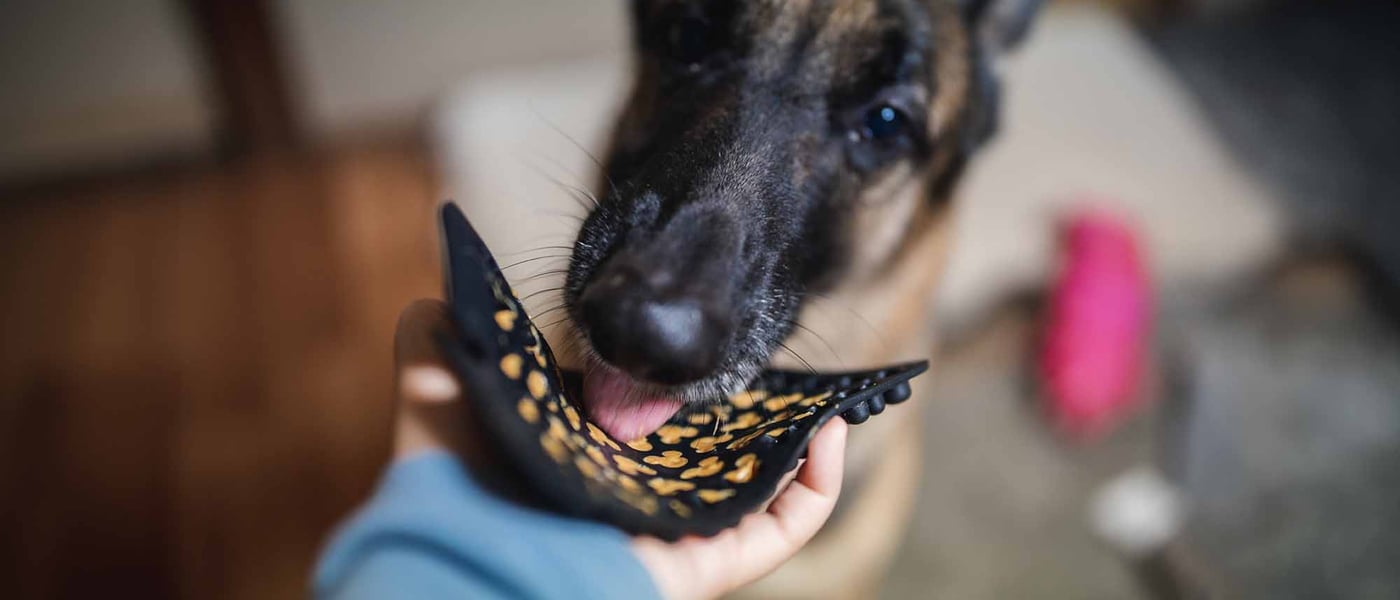 A dog licking a matt filled with treats