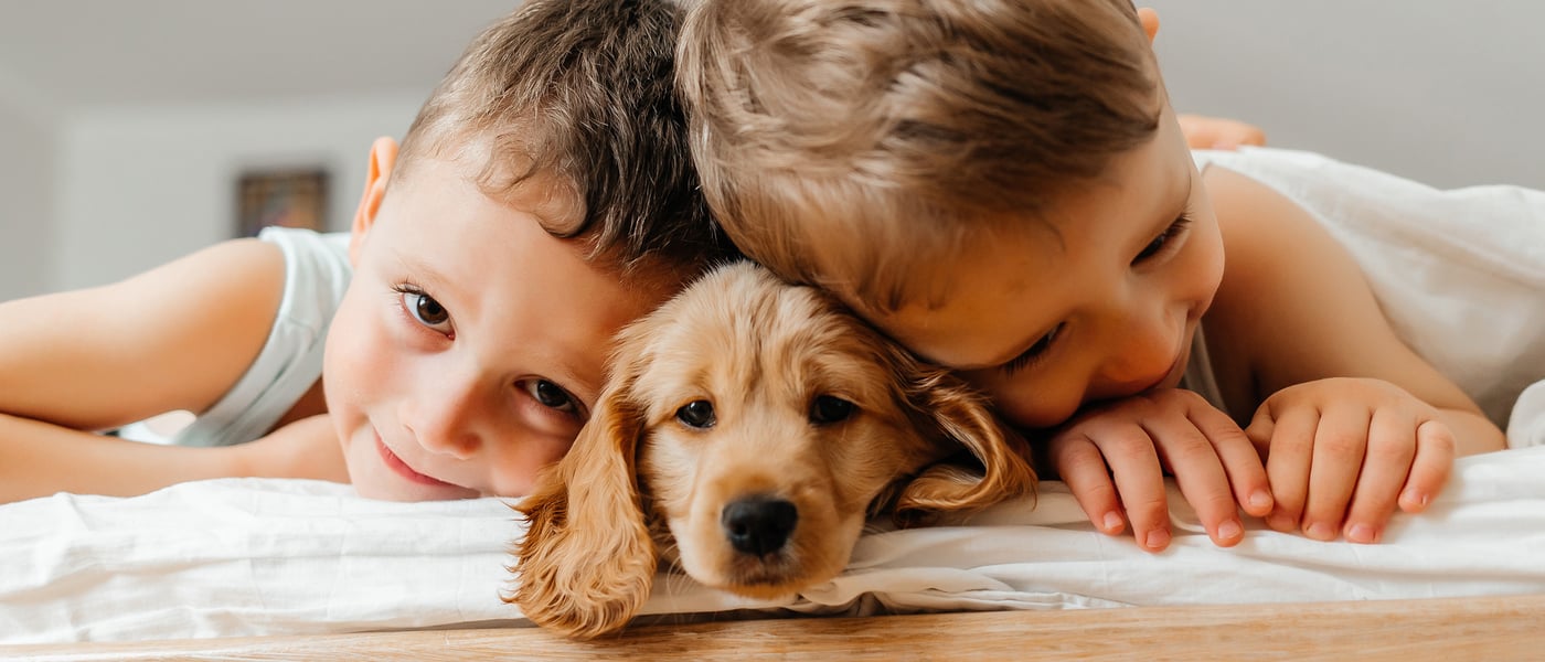 Two children cuddling a Cocker Spaniel puppy in the middle
