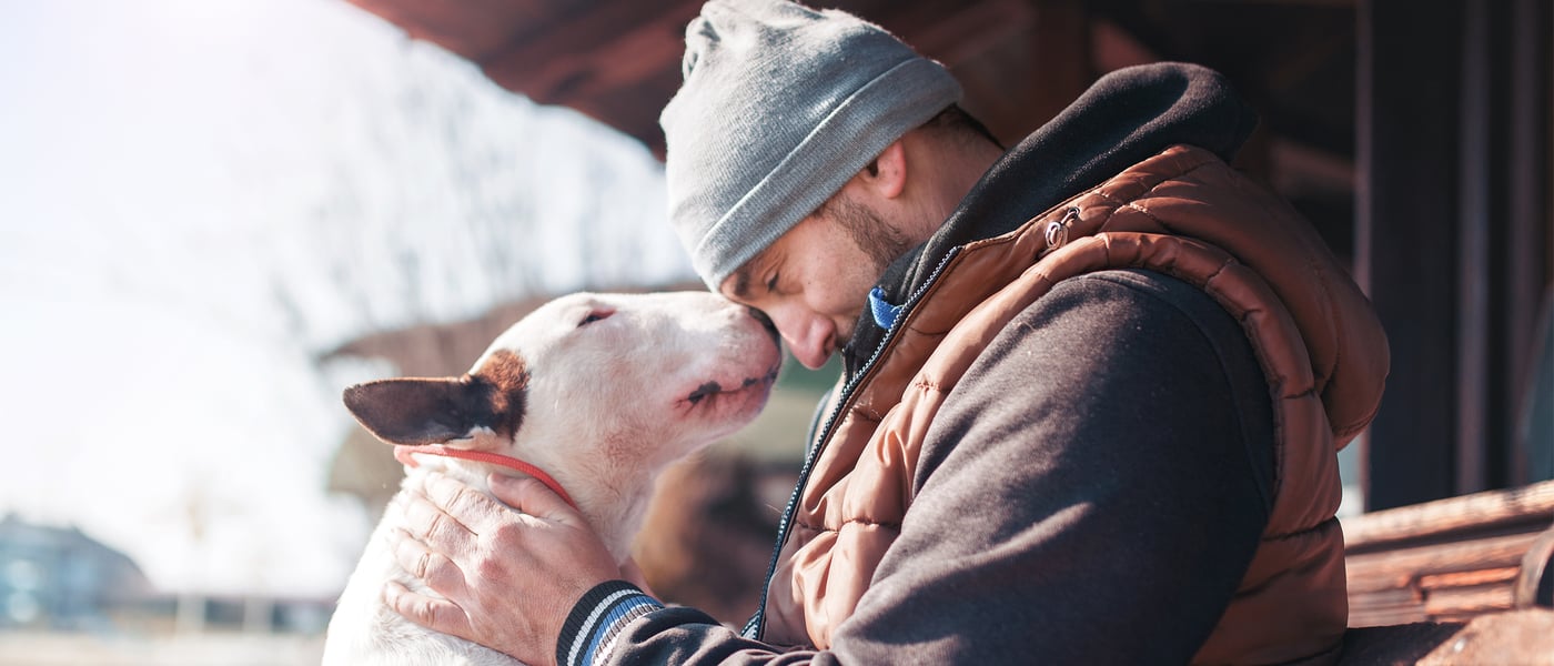 A man and a Bull Terrier with their heads together.