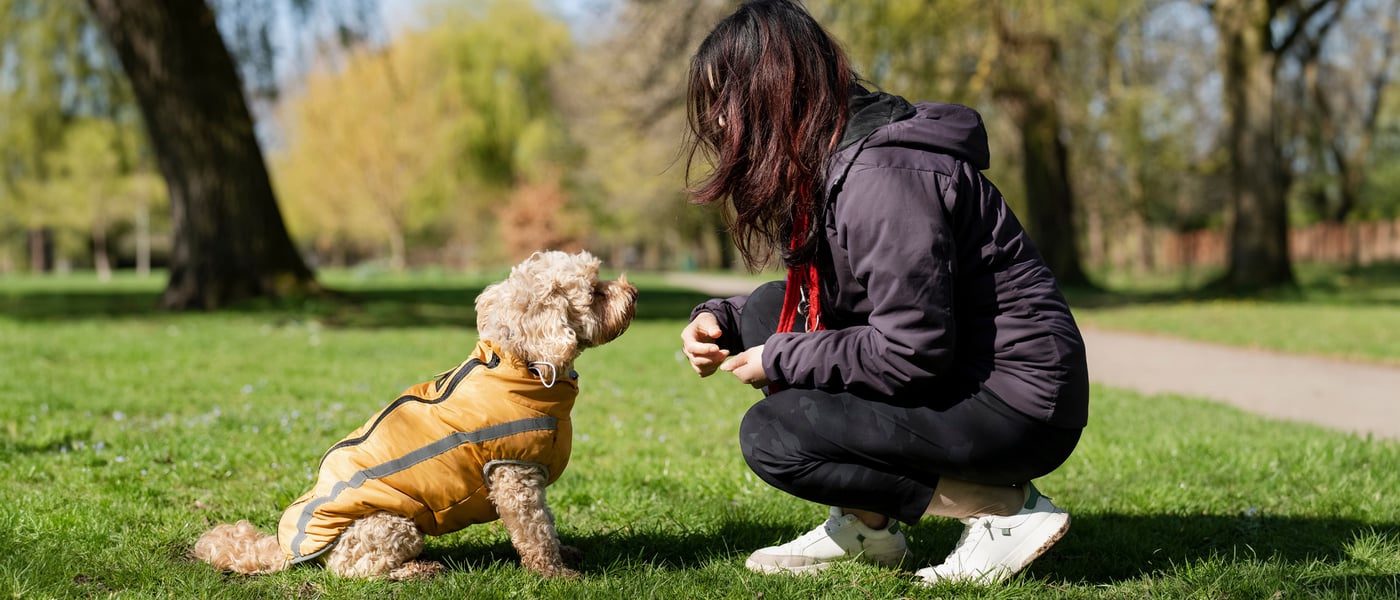 A woman crouching down and facing her Cockapoo in a park.