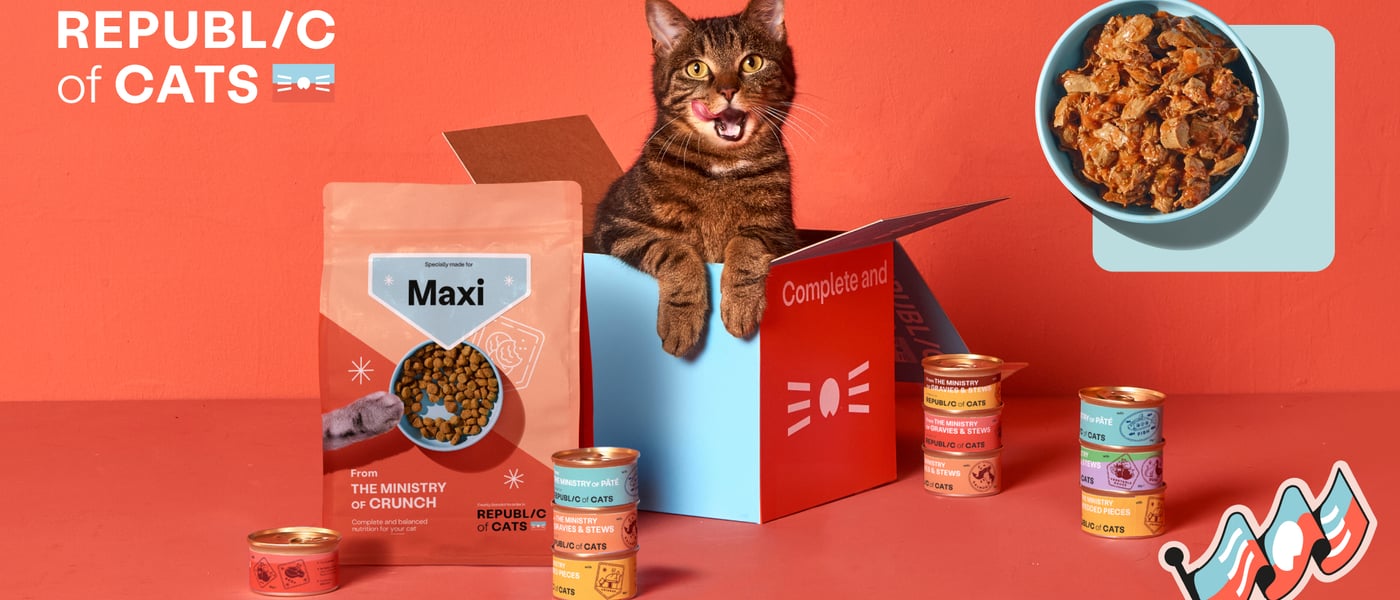 Republic of cats promo image