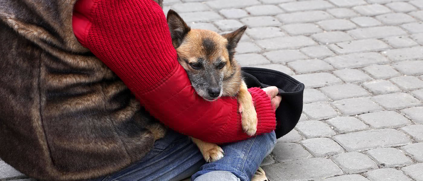 A person sitting on the floor wearing a red jumper and holding their dog