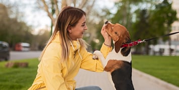 A woman in yellow feeding her Beagle a treat.