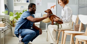 A vet crouched down looking at a dachshund. 