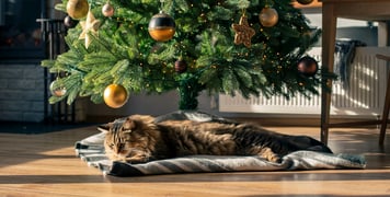 A cat laying on a blanket under a Christmas tree.