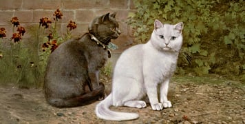 A historical painting of two british shorthair cats sitting near a brick wall and some flowers