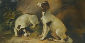 A painting of two brown and white Springer Spaniels. 
