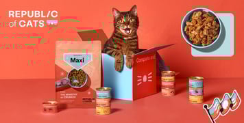 Republic of cats promo image