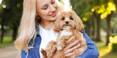 A blonde woman holding a Cavapoo.