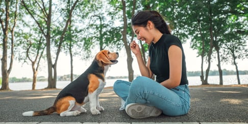 A woman and her Beagle are sitting on the ground near a lake doing command training together.