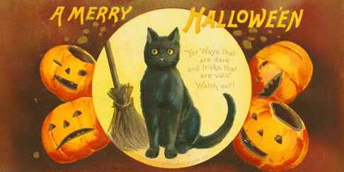 drawing of black cat next to a borrom and surrounded by pumpkins