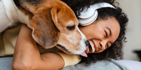 A woman laughing and holding her beagle.