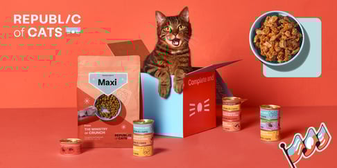 Republic of cats promo image