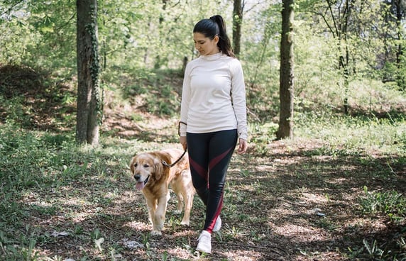 A woman walking her golden retriever through the woods