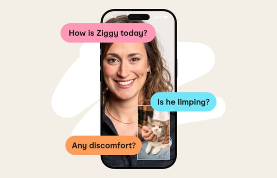 Placeholder alt texts
