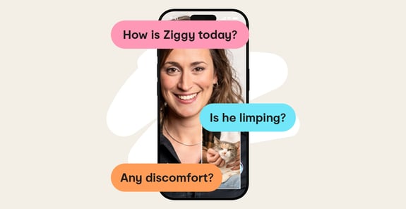 Placeholder alt texts